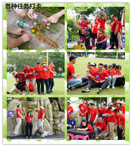 戶外團建活動丨凝聚力量，激勵前行(圖10)